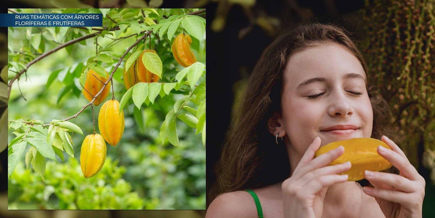 Ruas temáticas com árvores floríferas e frutíferas