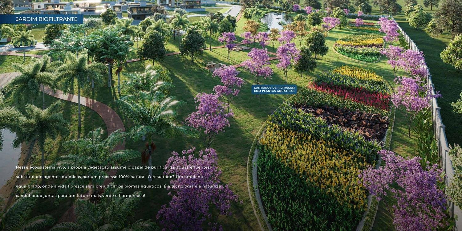 Jardim biofiltrante com canteiros de plantas aquáticas